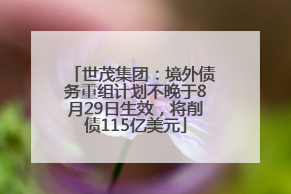 世茂集团：境外债务重组计划不晚于8月29日生效，将削债115亿美元