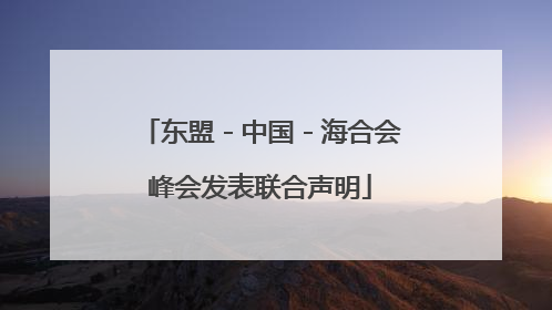 东盟－中国－海合会峰会发表联合声明