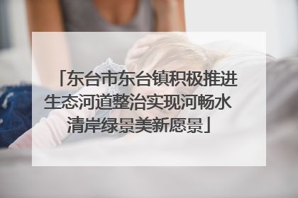 东台市东台镇积极推进生态河道整治实现河畅水清岸绿景美新愿景