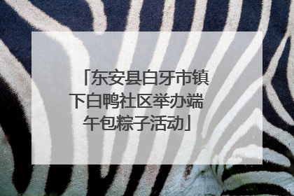 东安县白牙市镇下白鸭社区举办端午包粽子活动