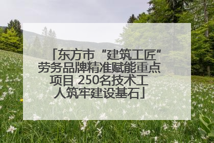东方市“建筑工匠”劳务品牌精准赋能重点项目 250名技术工人筑牢建设基石