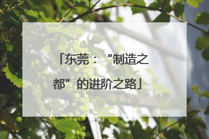 东莞：“制造之都”的进阶之路