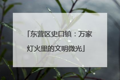 东营区史口镇：万家灯火里的文明微光