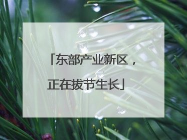 东部产业新区，正在拔节生长