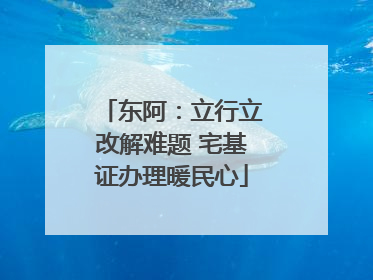 东阿：立行立改解难题 宅基证办理暖民心