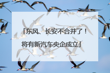 东风、长安不合并了！将有新汽车央企成立