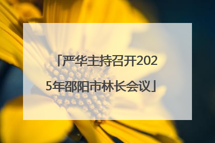 严华主持召开2025年邵阳市林长会议
