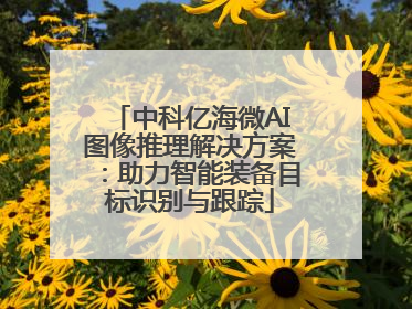 中科亿海微AI图像推理解决方案：助力智能装备目标识别与跟踪