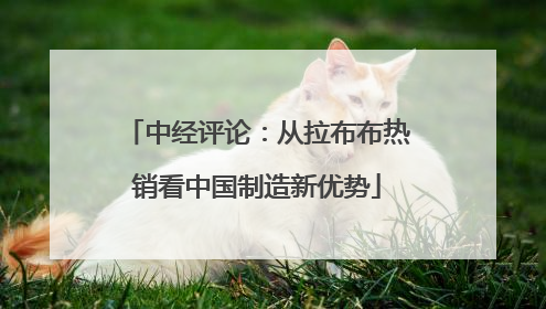 中经评论：从拉布布热销看中国制造新优势