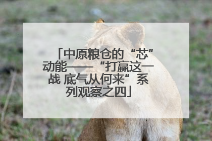 中原粮仓的“芯”动能——“打赢这一战 底气从何来”系列观察之四