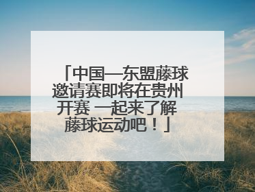 中国—东盟藤球邀请赛即将在贵州开赛 一起来了解藤球运动吧！