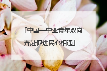 中国—中亚青年双向奔赴促进民心相通