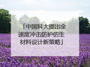 中国科大提出全速度冲击防护仿生材料设计新策略