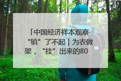 中国经济样本观察·“镇”了不起｜为衣做架，“挂”出来的80亿元“衣架产业”