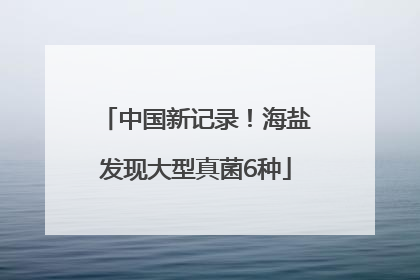中国新记录！海盐发现大型真菌6种