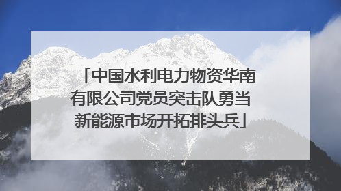 中国水利电力物资华南有限公司党员突击队勇当新能源市场开拓排头兵