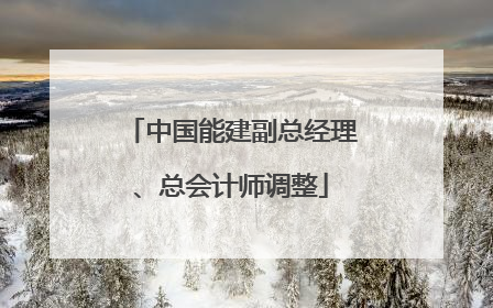 中国能建副总经理、总会计师调整