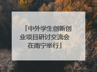 中外学生创新创业项目研讨交流会在南宁举行