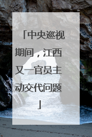 中央巡视期间，江西又一官员主动交代问题