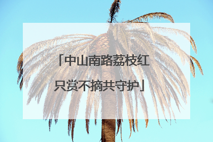 中山南路荔枝红 只赏不摘共守护