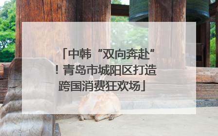 中韩“双向奔赴”！青岛市城阳区打造跨国消费狂欢场