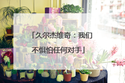 久尔杰维奇：我们不惧怕任何对手