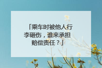 乘车时被他人行李砸伤，谁来承担赔偿责任？