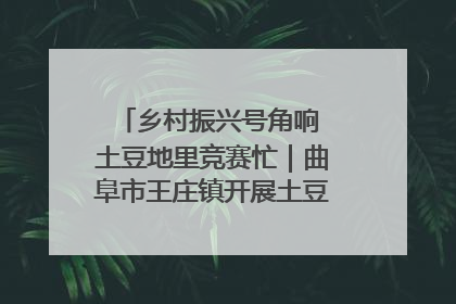 乡村振兴号角响 土豆地里竞赛忙｜曲阜市王庄镇开展土豆收获劳动竞赛
