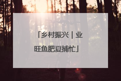 乡村振兴｜业旺鱼肥夏捕忙