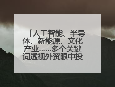 人工智能、半导体、新能源、文化产业……多个关键词透视外资眼中投资中国的新机遇
