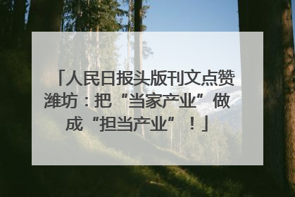 人民日报头版刊文点赞潍坊：把“当家产业”做成“担当产业”！