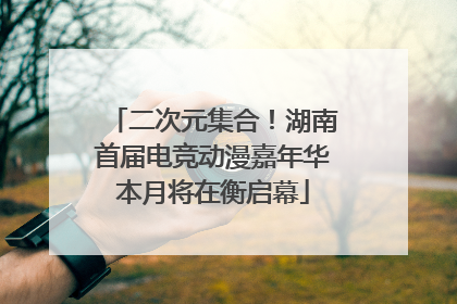二次元集合！湖南首届电竞动漫嘉年华本月将在衡启幕