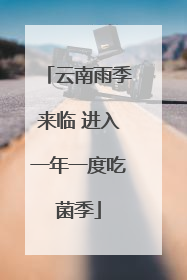 云南雨季来临 进入一年一度吃菌季