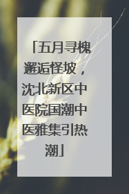 五月寻槐邂逅怪坡，沈北新区中医院国潮中医雅集引热潮