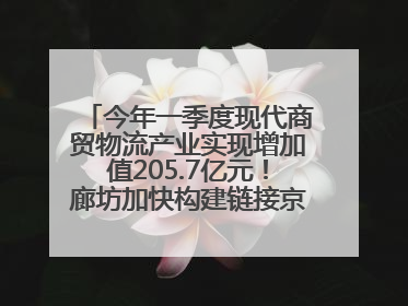 今年一季度现代商贸物流产业实现增加值205.7亿元！廊坊加快构建链接京津冀面向全世界的物流通道