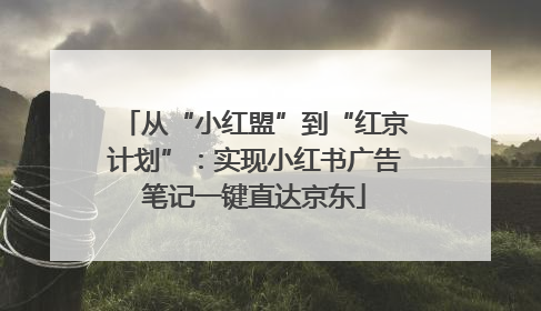 从“小红盟”到“红京计划”：实现小红书广告笔记一键直达京东