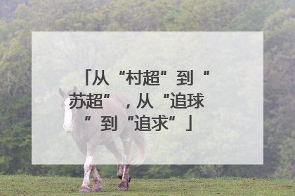 从“村超”到“苏超”，从“追球”到“追求”