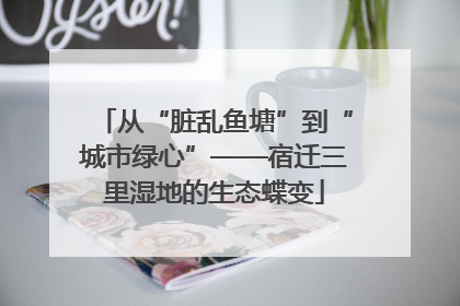 从“脏乱鱼塘”到“城市绿心”——宿迁三里湿地的生态蝶变