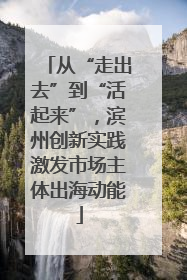 从“走出去”到“活起来”，滨州创新实践激发市场主体出海动能