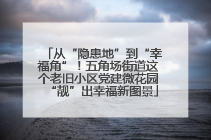 从“隐患地”到“幸福角”！五角场街道这个老旧小区党建微花园“靓”出幸福新图景