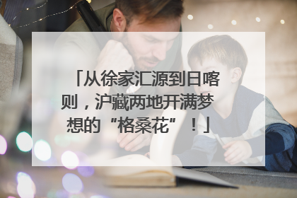 从徐家汇源到日喀则，沪藏两地开满梦想的“格桑花”！