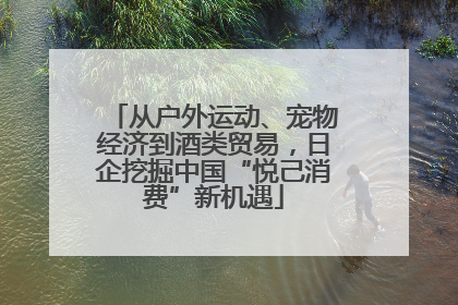 从户外运动、宠物经济到酒类贸易，日企挖掘中国“悦己消费”新机遇