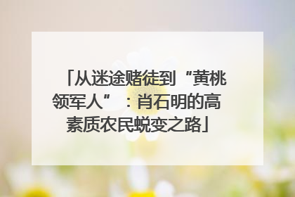 从迷途赌徒到“黄桃领军人”：肖石明的高素质农民蜕变之路