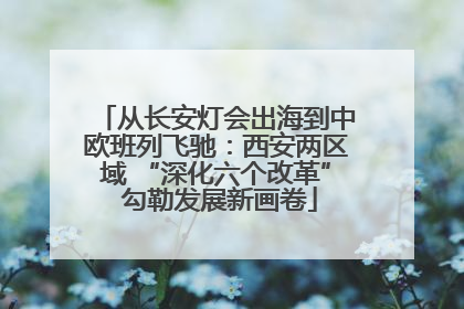 从长安灯会出海到中欧班列飞驰：西安两区域 “深化六个改革” 勾勒发展新画卷