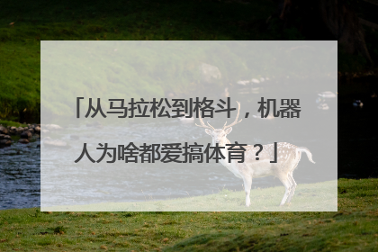 从马拉松到格斗，机器人为啥都爱搞体育？