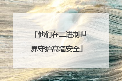 他们在二进制世界守护高墙安全