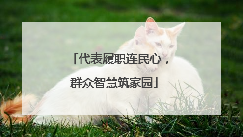 代表履职连民心，群众智慧筑家园