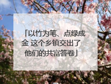 以竹为笔、点绿成金 这个乡镇交出了他们的共富答卷