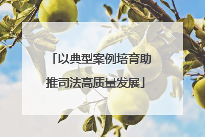 以典型案例培育助推司法高质量发展