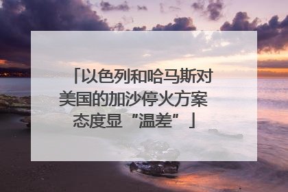 以色列和哈马斯对美国的加沙停火方案态度显“温差”